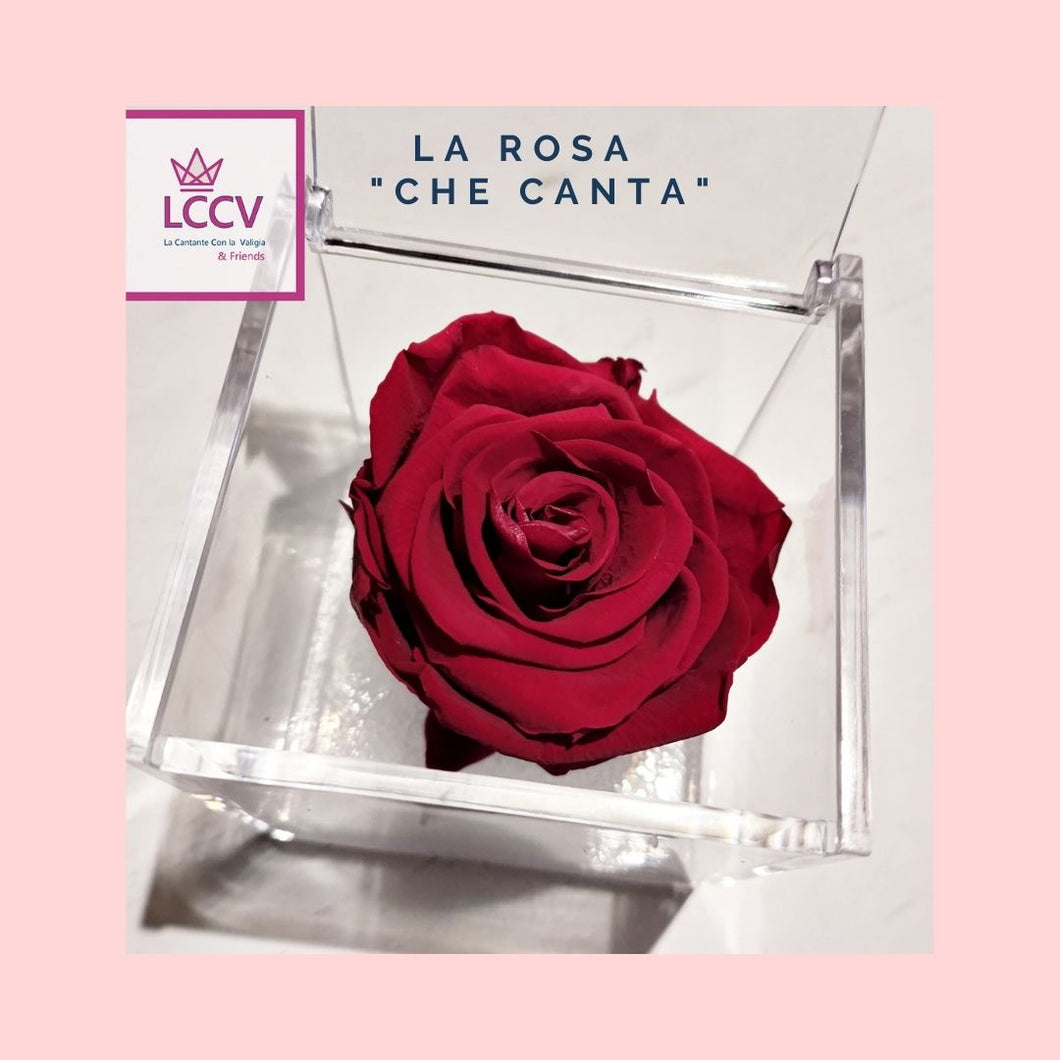 LA ROSA CHE CANTA DELUXE ® una Serenata 2.0 , un regalo originale